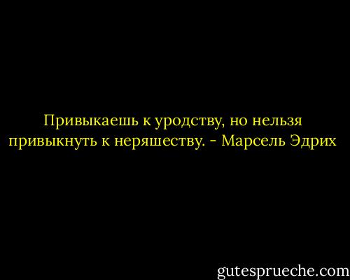 Привыкаешь к уродству, но нельзя привыкнуть к неряшеству. - Марсель Эдрих