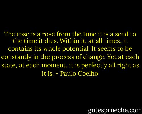 The rose is a rose from the time it is a seed to the time it dies. Within it, at all times, it contains its whole potential. It seems to be constantly in the process of change: Yet at each state, at each moment, it is perfectly all right as it is. - Paulo Coelho