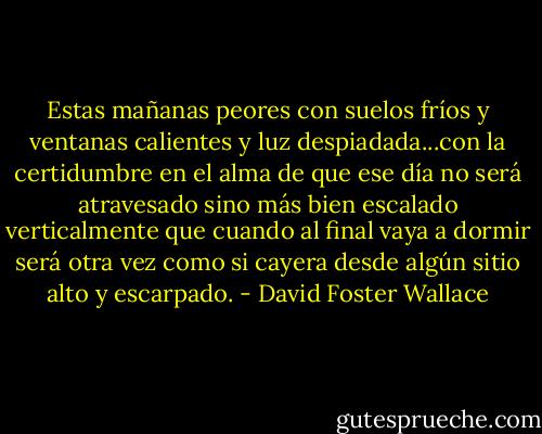 Estas mañanas peores con suelos fríos y ventanas calientes y luz despiadada...con la certidumbre en el alma de que ese día no será atravesado sino más bien escalado verticalmente que cuando al final vaya a dormir será otra vez como si cayera desde algún sitio alto y escarpado. - David Foster Wallace