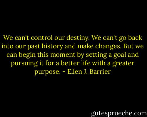 We can't control our destiny. We can't go back into our past history and make changes. But we can begin this moment by setting a goal and pursuing it for a better life with a greater purpose. - Ellen J. Barrier