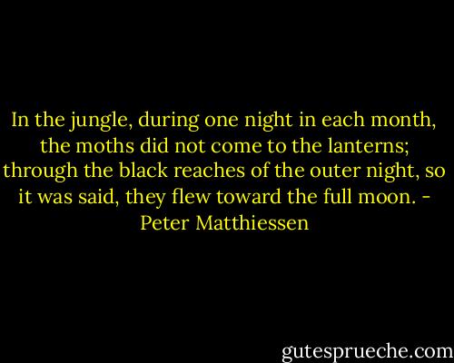 In the jungle, during one night in each month, the moths did not come to the lanterns; through the black reaches of the outer night, so it was said, they flew toward the full moon. - Peter Matthiessen
