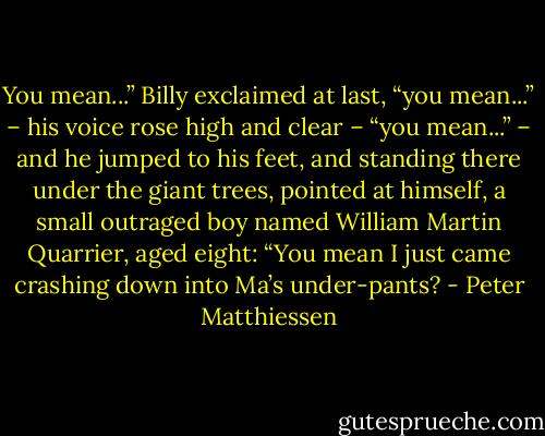 You mean...” Billy exclaimed at last, “you mean...” – his voice rose high and clear – “you mean...” – and he jumped to his feet, and standing there under the giant trees, pointed at himself, a small outraged boy named William Martin Quarrier, aged eight: “You mean I just came crashing down into Ma’s under-pants? - Peter Matthiessen