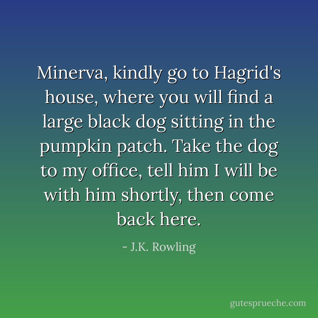 Minerva, kindly go to Hagrid's house, where you will find a large black dog sitting in the pumpkin patch. Take the dog to my office, tell him I will be with him shortly, then come back here. - J.K. Rowling