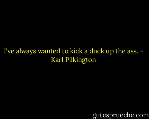 I've always wanted to kick a duck up the ass. - Karl Pilkington