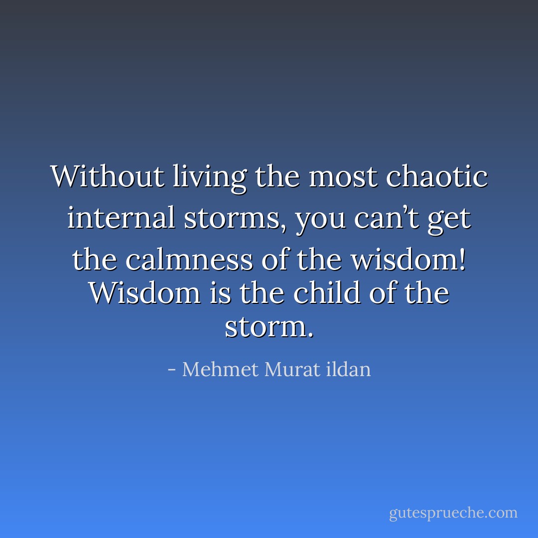 Without living the most chaotic internal storms, you can’t get the calmness of the wisdom! Wisdom is the child of the storm. - Mehmet Murat ildan