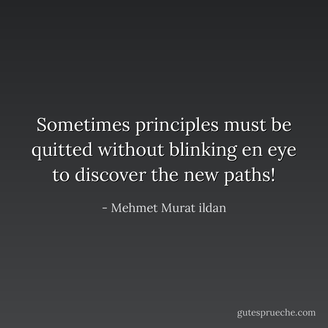 Sometimes principles must be quitted without blinking en eye to discover the new paths! - Mehmet Murat ildan