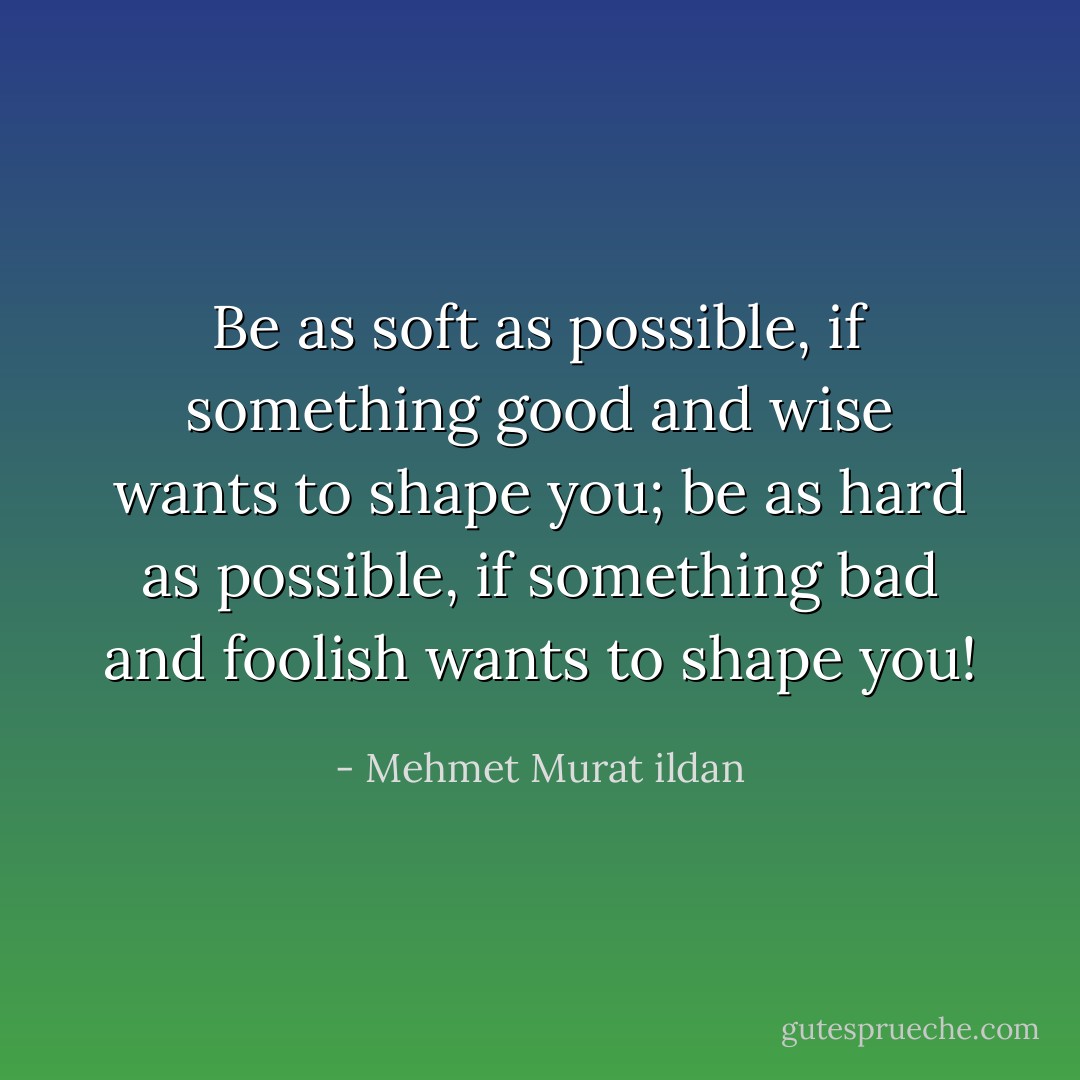 Be as soft as possible, if something good and wise wants to shape you; be as hard as possible, if something bad and foolish wants to shape you! - Mehmet Murat ildan