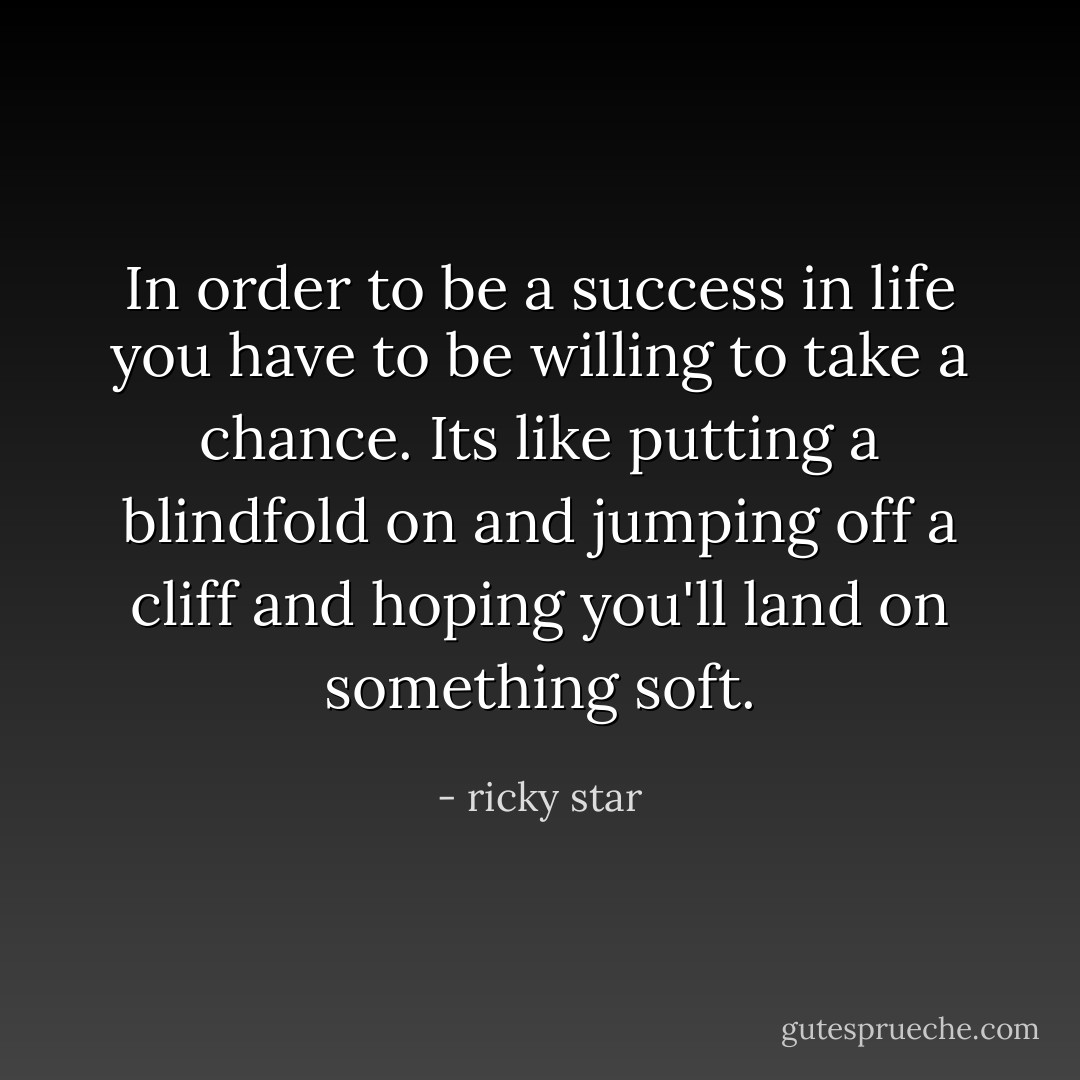 In order to be a success in life you have to be willing to take a chance. Its like putting a blindfold on and jumping off a cliff and hoping you'll land on something soft. - ricky star