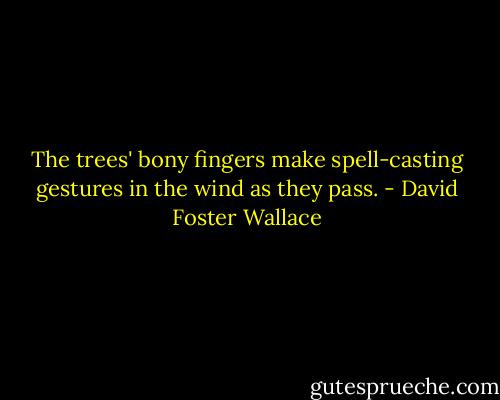The trees' bony fingers make spell-casting gestures in the wind as they pass. - David Foster Wallace