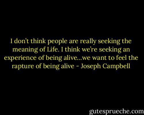 I don’t think people are really seeking the meaning of Life. I think we’re seeking an experience of being alive…we want to feel the rapture of being alive - Joseph Campbell