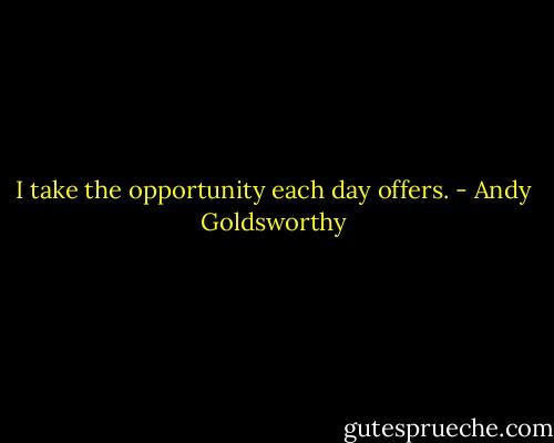 I take the opportunity each day offers. - Andy Goldsworthy