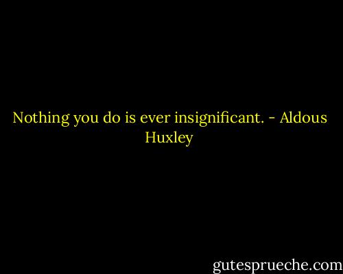 Nothing you do is ever insignificant. - Aldous Huxley