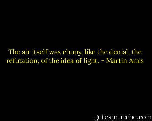 The air itself was ebony, like the denial, the refutation, of the idea of light. - Martin Amis