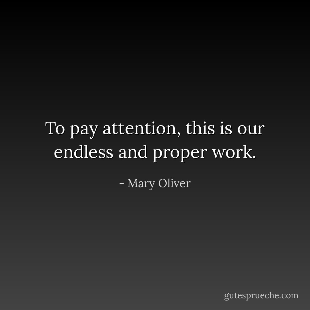 To pay attention, this is our endless and proper work. - Mary Oliver