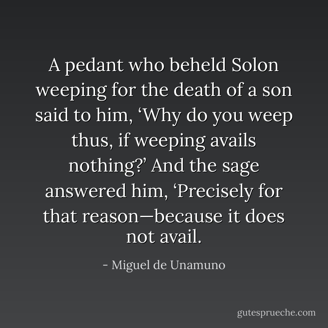 A pedant who beheld Solon weeping for the death of a son said to him, ‘Why do you weep thus, if weeping avails nothing?’ And the sage answered him, ‘Precisely for that reason—because it does not avail. - Miguel de Unamuno
