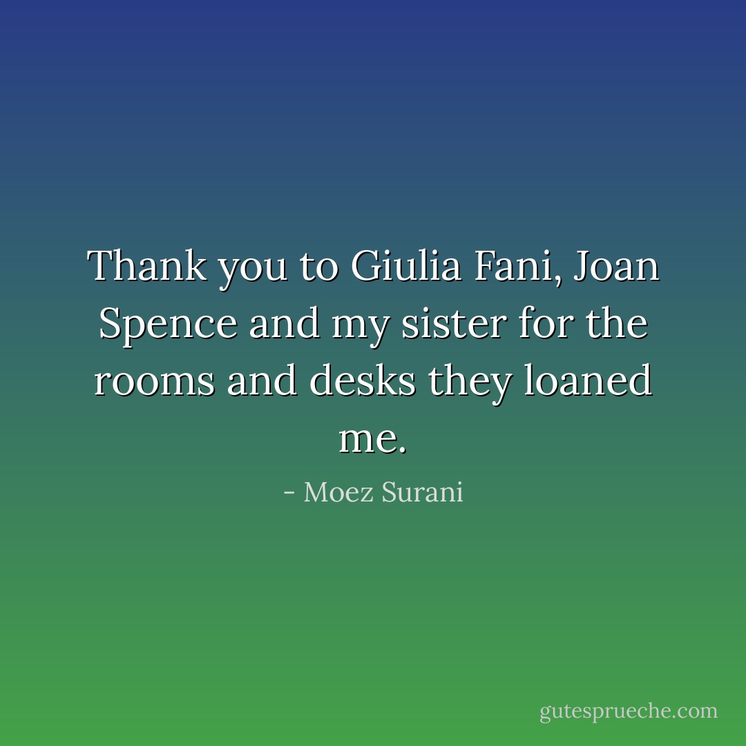Thank you to Giulia Fani, Joan Spence and my sister for the rooms and desks they loaned me. - Moez Surani