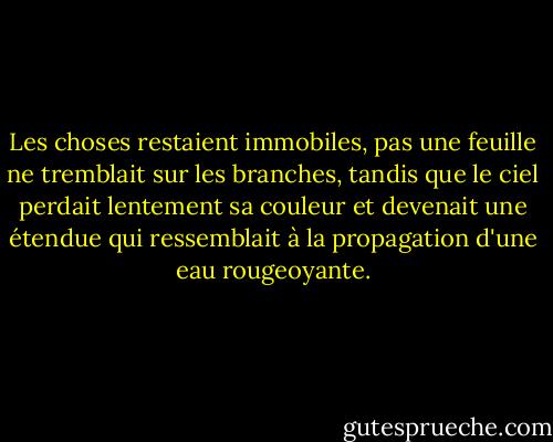 Les choses restaient immobiles, pas une feuille ne tremblait sur les branches, tandis que le ciel perdait lentement sa couleur et devenait une étendue qui ressemblait à la propagation d'une eau rougeoyante. - Ayn Rand