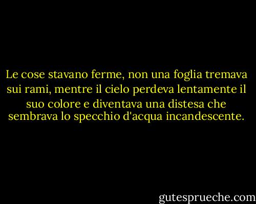 Le cose stavano ferme, non una foglia tremava sui rami, mentre il cielo perdeva lentamente il suo colore e diventava una distesa che sembrava lo specchio d'acqua incandescente. - Ayn Rand