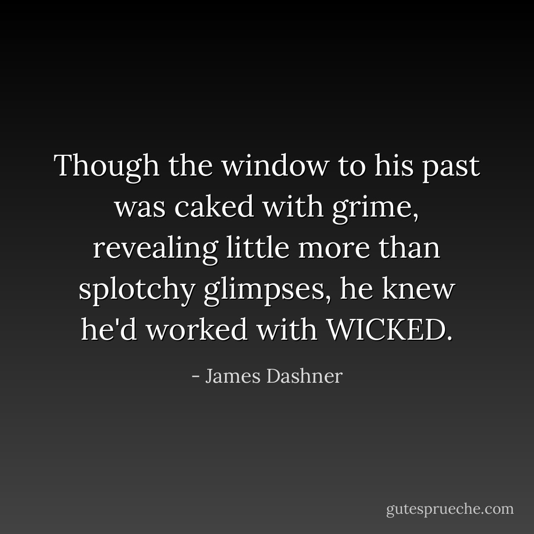 Though the window to his past was caked with grime, revealing little more than splotchy glimpses, he knew he'd worked with WICKED. - James Dashner