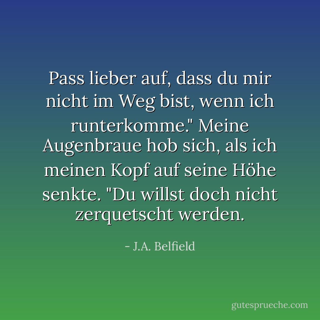 Pass lieber auf, dass du mir nicht im Weg bist, wenn ich runterkomme." Meine Augenbraue hob sich, als ich meinen Kopf auf seine Höhe senkte. "Du willst doch nicht zerquetscht werden. - J.A. Belfield<