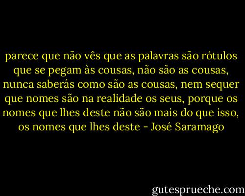 parece que não vês que as palavras são rótulos que se pegam às cousas, não são as cousas, nunca saberás como são as cousas, nem sequer que nomes são na realidade os seus, porque os nomes que lhes deste não são mais do que isso, os nomes que lhes deste - José Saramago