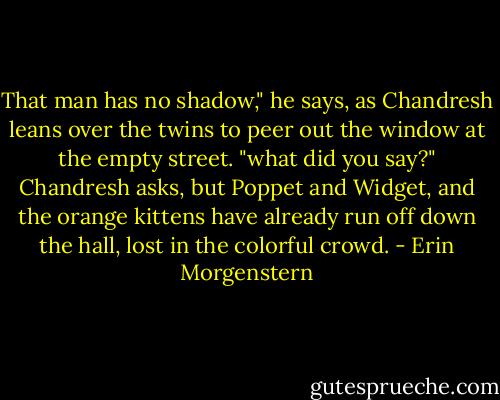 That man has no shadow," he says, as Chandresh leans over the twins to peer out the window at the empty street.<br />"what did you say?" Chandresh asks, but Poppet and Widget, and the orange kittens have already run off down the hall, lost in the colorful crowd. - Erin Morgenstern