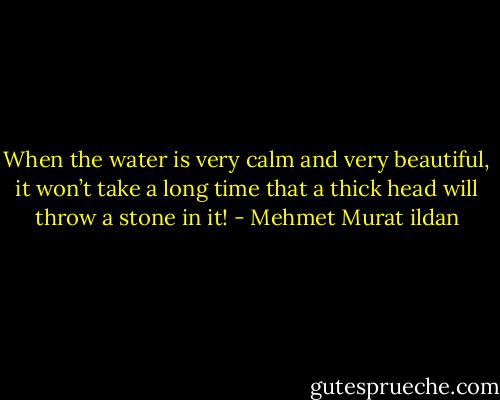 When the water is very calm and very beautiful, it won’t take a long time that a thick head will throw a stone in it! - Mehmet Murat ildan