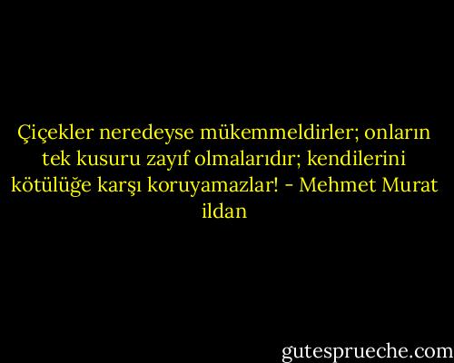 Çiçekler neredeyse mükemmeldirler; onların tek kusuru zayıf olmalarıdır; kendilerini kötülüğe karşı koruyamazlar! - Mehmet Murat ildan