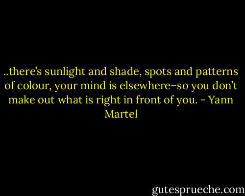..there’s sunlight and shade, spots<br />and patterns of colour, your mind is elsewhere–so you don’t make out what is right in front of you. - Yann Martel