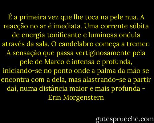 É a primeira vez que lhe toca na pele nua.<br />A reacção no ar é imediata. Uma corrente súbita de energia tonificante e luminosa ondula através da sala. O candelabro começa a tremer.<br />A sensação que passa vertiginosamente pela pele de Marco é intensa e profunda, iniciando-se no ponto onde a palma da mão se encontra com a dela, mas alastrando-se a partir daí, numa distância maior e mais profunda - Erin Morgenstern