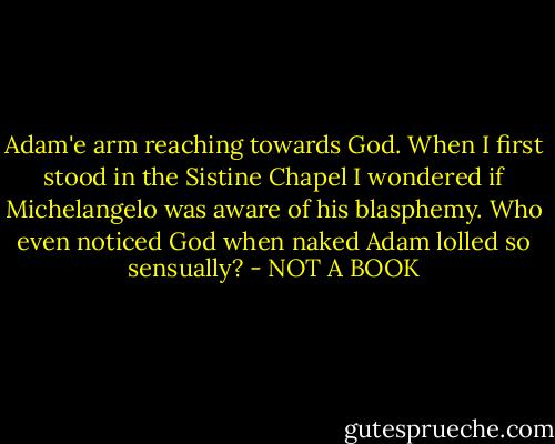Adam'e arm reaching towards God. When I first stood in the Sistine Chapel I wondered if Michelangelo was aware of his blasphemy. Who even noticed God when naked Adam lolled so sensually? - NOT A BOOK