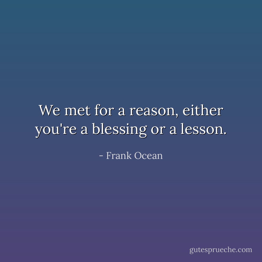 We met for a reason, either you're a blessing or a lesson. - Frank Ocean