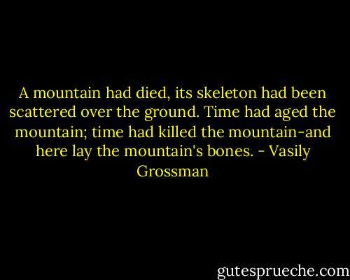 A mountain had died, its skeleton had been scattered over the ground. Time had aged the mountain; time had killed the mountain-and here lay the mountain's bones. - Vasily Grossman