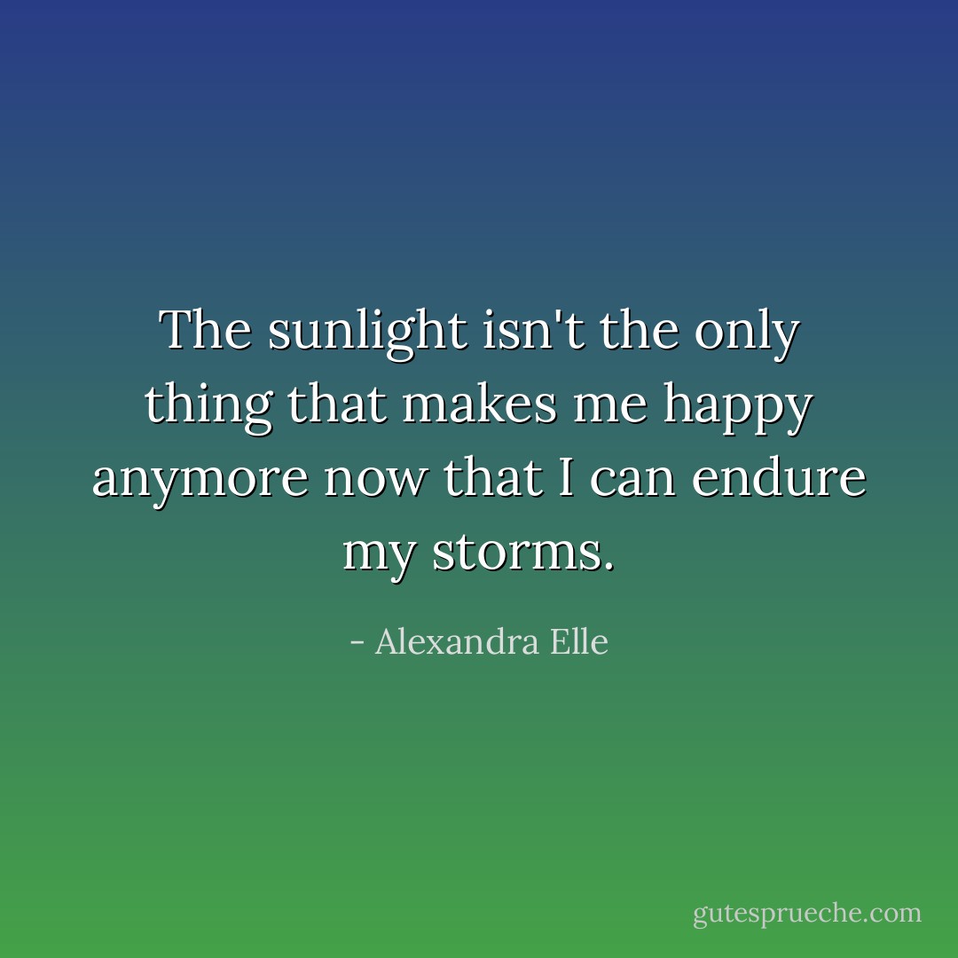 The sunlight isn't the only thing that makes me happy anymore now that I can endure my storms. - Alexandra Elle