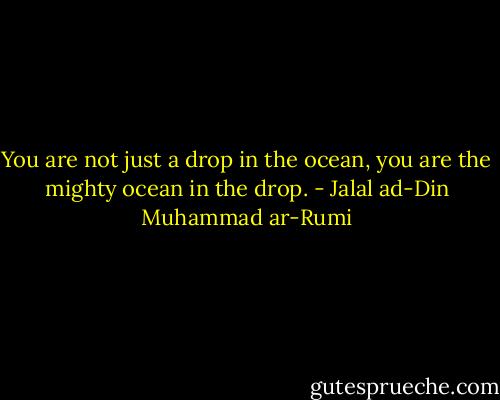 You are not just a drop in the ocean, you are the mighty ocean in the drop. - Jalal ad-Din Muhammad ar-Rumi