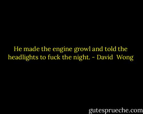 He made the engine growl and told the headlights to fuck the night. - David  Wong