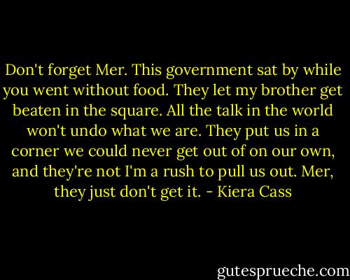 Don't forget Mer. This government sat by while you went without food. They let my brother get beaten in the square. All the talk in the world won't undo what we are. They put us in a corner we could never get out of on our own, and they're not I'm a rush to pull us out. Mer, they just don't get it. - Kiera Cass