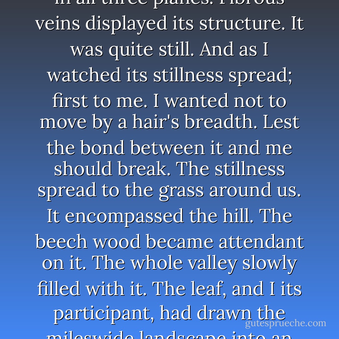 When I turned to climb the third wave, I saw at my feet a small leaf, perhaps an inch long, pointed, withered to bright chestnut but still smooth. It was supported above the soil in the grey points of short grasses which did not bend beneath its weightlessness. It was curved in all three planes. Fibrous veins displayed its structure. It was quite still. And as I watched its stillness spread; first to me. I wanted not to move by a hair's breadth. Lest the bond between it and me should break. The stillness spread to the grass around us. It encompassed the hill. The beech wood became attendant on it. The whole valley slowly filled with it. The leaf, and I its participant, had drawn the mileswide landscape into an attentive, breathless synthesis...there was no movement, no sound and no distinction or identifying of parts in all that had been there united. For there was no 'I' that gazed...through that tiny gateway I became one with what was boundless. - Geoffrey Vickers