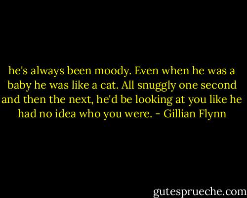 he's always been moody. Even when he was a baby he was like a cat. All snuggly one second and then the next, he'd be looking at you like he had no idea who you were. - Gillian Flynn