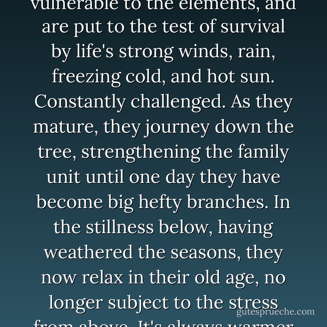 Trees are like people and give the answers to the way of Man. They grow from the top down. Children, like treetops, have flexibility of youth, and sway more than larger adults at the bottom. They are more vulnerable to the elements, and are put to the test of survival by life's strong winds, rain, freezing cold, and hot sun. Constantly challenged. As they mature, they journey down the tree, strengthening the family unit until one day they have become big hefty branches. In the stillness below, having weathered the seasons, they now relax in their old age, no longer subject to the stress from above. It's always warmer and more enclosed at the base of the tree. The members remain protected and strong as they bear the weight and give support to the entire tree. They have the endurance. - Ralph Helfer