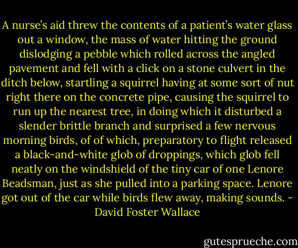 A nurse’s aid threw the contents of a patient’s water glass out a window, the mass of water hitting the ground dislodging a pebble which rolled across the angled pavement and fell with a click on a stone culvert in the ditch below, startling a squirrel having at some sort of nut right there on the concrete pipe, causing the squirrel to run up the nearest tree, in doing which it disturbed a slender brittle branch and surprised a few nervous morning birds, of of which, preparatory to flight released a black-and-white glob of droppings, which glob fell neatly on the windshield of the tiny car of one Lenore Beadsman, just as she pulled into a parking space. Lenore got out of the car while birds flew away, making sounds. - David Foster Wallace