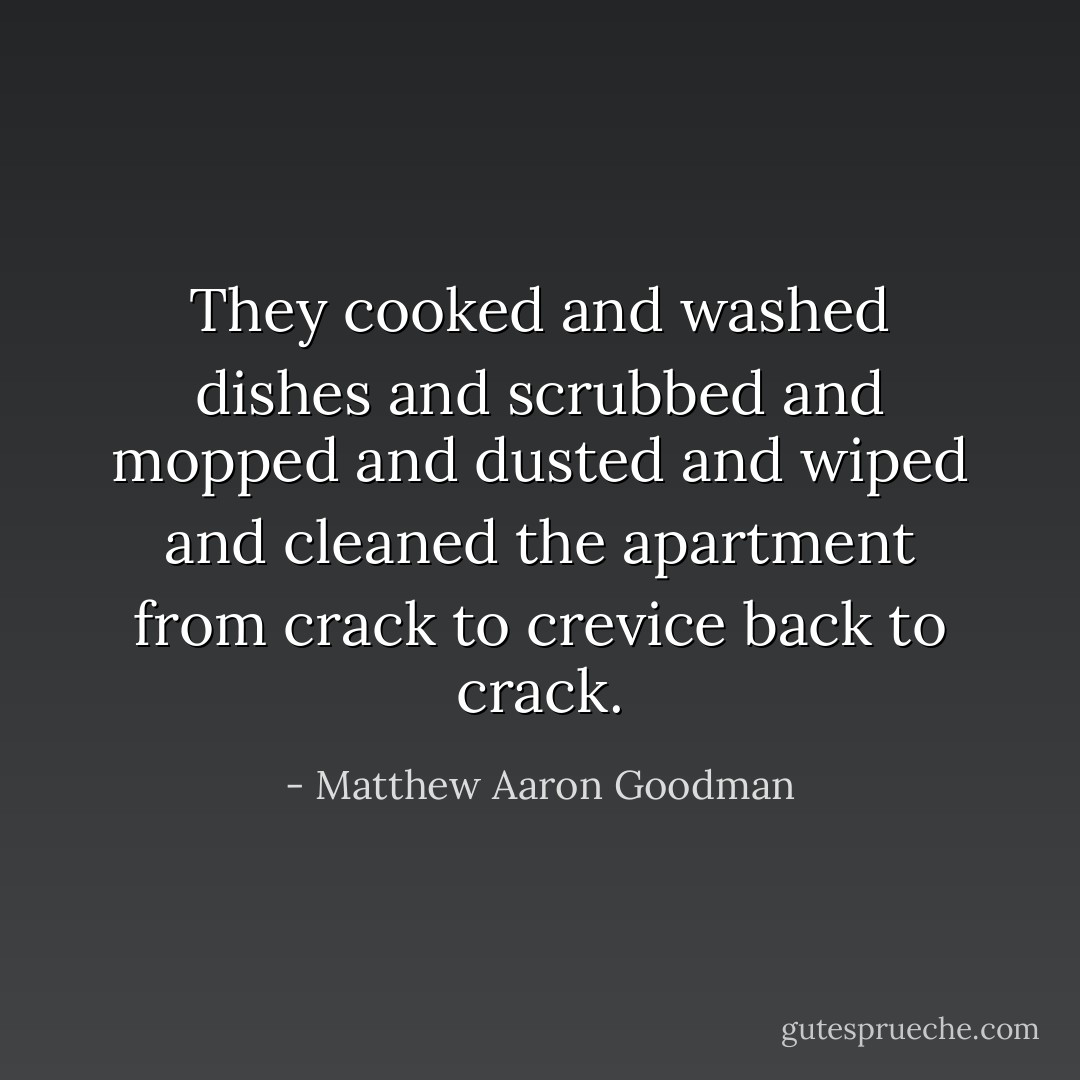 They cooked and washed dishes and scrubbed and mopped and dusted and wiped and cleaned the apartment from crack to crevice back to crack. - Matthew Aaron Goodman