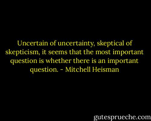 Uncertain of uncertainty, skeptical of skepticism, it seems that the most important question is whether there is an important question. - Mitchell Heisman