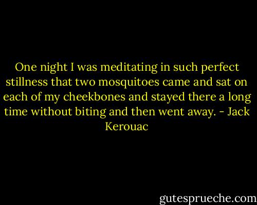 One night I was meditating in such perfect stillness that two mosquitoes came and sat on each of my cheekbones and stayed there a long time without biting and then went away. - Jack Kerouac