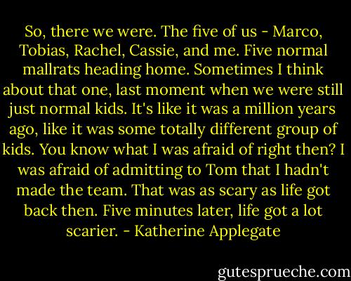So, there we were. The five of us - Marco, Tobias, Rachel, Cassie, and me. Five normal mallrats heading home.<br />Sometimes I think about that one, last moment when we were still just normal kids. It's like it was a million years ago, like it was some totally different group of kids. You know what I was afraid of right then? I was afraid of admitting to Tom that I hadn't made the team. That was as scary as life got back then.<br />Five minutes later, life got a lot scarier. - Katherine Applegate