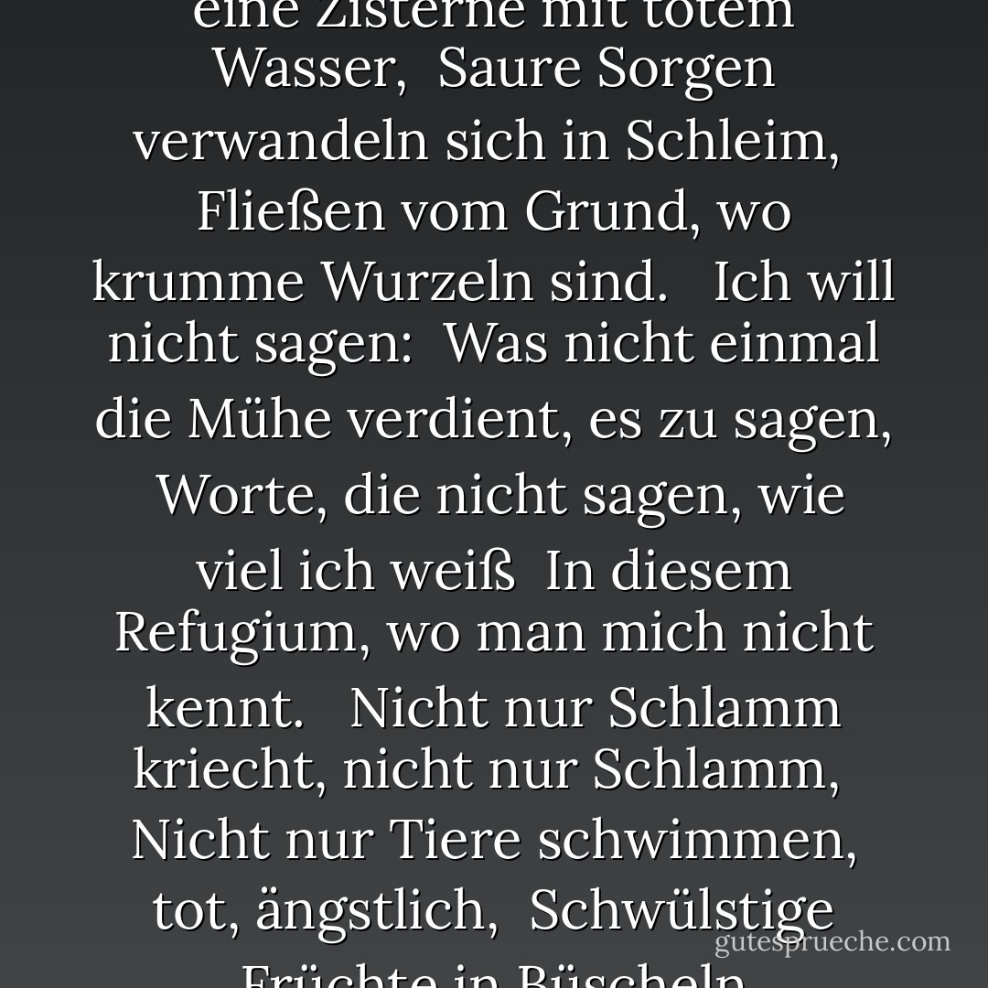 Gedicht an den geschlossenen Mund <br /><br /><br />Ich werde nicht sagen: <br />Das Schweigen erstickt und knebelt mich. <br />Ich schweige, ich werde schweigen, <br />weil die Sprache, die ich spreche, von einer anderen Ethnie ist. <br /><br />Verbrauchte Worte sammeln sich an, <br />Sie sind aufgestaut, eine Zisterne mit totem Wasser, <br />Saure Sorgen verwandeln sich in Schleim, <br />Fließen vom Grund, wo krumme Wurzeln sind. <br /><br />Ich will nicht sagen: <br />Was nicht einmal die Mühe verdient, es zu sagen, <br />Worte, die nicht sagen, wie viel ich weiß <br />In diesem Refugium, wo man mich nicht kennt. <br /><br />Nicht nur Schlamm kriecht, nicht nur Schlamm, <br />Nicht nur Tiere schwimmen, tot, ängstlich, <br />Schwülstige Früchte in Büscheln verflechten sich <br />In dem schwarzen Brunnen, aus dem Finger steigen. <br /><br />Ich will nur sagen, <br />Kritisch zurückgezogen und stumm, <br />Dass, wer schweigt, wenn ich schweige, <br />nicht sterben kann, ohne alles zu sagen. - José Saramago<
