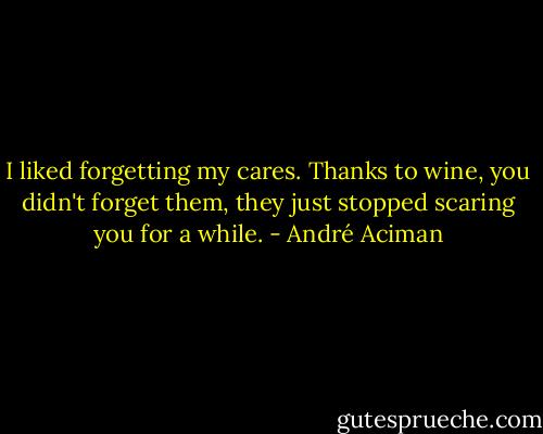I liked forgetting my cares. Thanks to wine, you didn't forget them, they just stopped scaring you for a while. - André Aciman