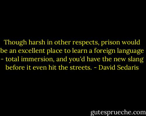 Though harsh in other respects, prison would be an excellent place to learn a foreign language - total immersion, and you'd have the new slang before it even hit the streets. - David Sedaris
