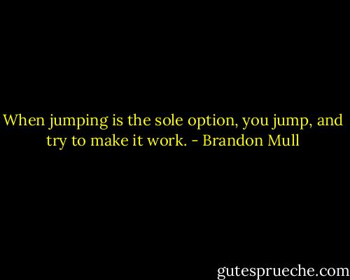 When jumping is the sole option, you jump, and try to make it work. - Brandon Mull