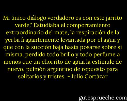 Mi único diálogo verdadero es con este jarrito verde." Estudiaba el comportamiento extraordinario del mate, la respiración de la yerba fragantemente levantada por el agua y que con la succión baja hasta posarse sobre sí misma, perdido todo brillo y todo perfume a menos que un chorrito de agua la estimule de nuevo, pulmón argentino de repuesto para solitarios y tristes. - Julio Cortázar